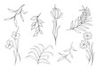 © ThemeRage - a set of flowers and branches with leaves in the technique of hand drawing