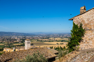 Wall Mural - Assisi village in Umbria region, Italy. The town is famous for the most important Italian Basilica dedicated to St. Francis - San Francesco.