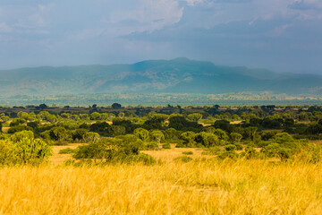 Canvas Print - Queen Elizabeth Nationalpark