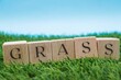 © PH alex aviles - The word grass written in wooden cube blocks on artificial grass and blue background. With copy space