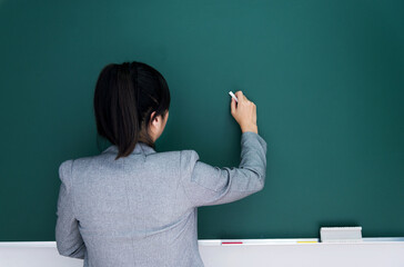 Wall Mural - Rear view of young businesswoman on blank chalkboard