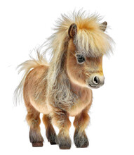 Cute Adorable Tiny Horse Isolated On Transparant Background