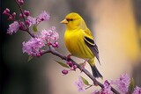 Fototapeta Londyn - Photo of a yellow finch sitting on a branch