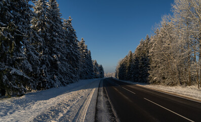 Wall Mural - Highway in sunny winter time with snow-covered fir trees along the side