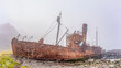 alte, rostige Walfangschiffe und Verarbeitungsanlagen in einer mittlerweile verlassenen Walfangstation in Grytviken -auf der Insel Südgeorgien