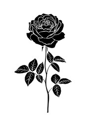 Wall Mural - Rose buds vector silhouettes. Flowers design elements. Monochrome rose tattoo illustration.