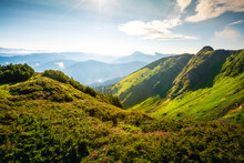 Peaceful Summer Day With Green Hills Illuminated By The Sun. Carpathian Mountains, Ukraine.