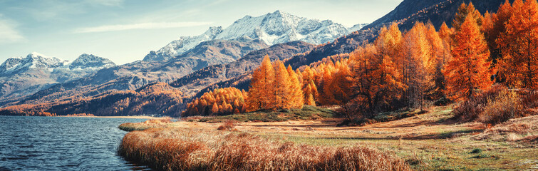 Papier Peint - Amazing natural autumn scenery.  Panoramic view of beautiful mountain landscape in Alps with Lake Sils, concept of an ideal resting place. Lake Sils one of the most beautiful lake of the Swiss Alps