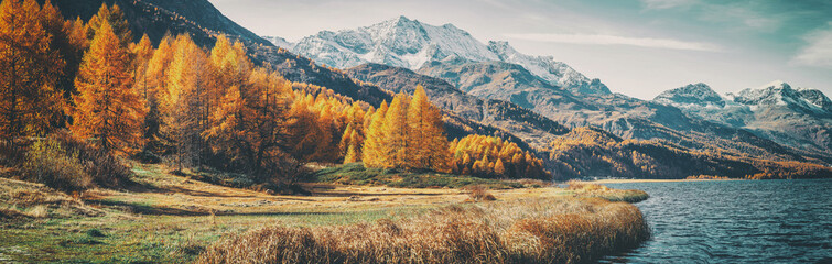 Fotobehang - Amazing natural autumn scenery.  Panoramic view of beautiful mountain landscape in Alps with Lake Sils, concept of an ideal resting place. Lake Sils one of the most beautiful lake of the Swiss Alps