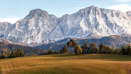 Fototapete - Stunning alpine Landscape. Awesome alpine highlands in sunny day. Amazing nature scenery. View on forest on the grassy hill and majestic rocky mountain range. wild nature concept. used  as background