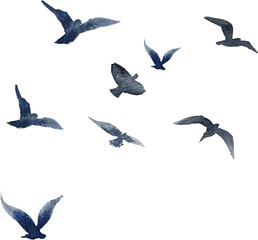 a flock of flying birds. watercolor painted illustration