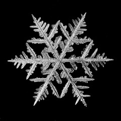 Canvas Print - black background snowflake isolated, abstract object winter detail