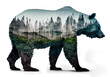 A grizzly bear and the Pacific Northwest, double exposure style photography. Generative AI