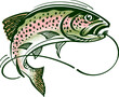 trout vector illustration