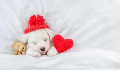 Aufkleber - Tiny Bichon Frise puppy wearing tiny warm hat sleeps under  white blanket on a bed at home with favorite toy bear and red heart. Top down view. Empty space for text