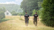 patrol of security services, search, intervention, police. Polska policja 