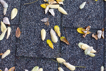 Dry autumn leaves on stone surface