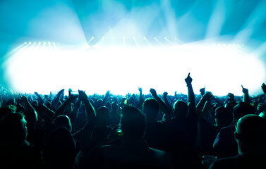 cheering crowd at rock concert