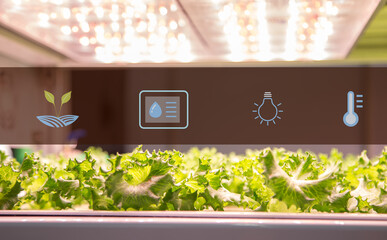 Wall Mural - Hydroponics system. Vegetable grow with artificial LED lighting in indoor vertical gardening. Hydroponic illustration symbols.