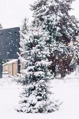 Sticker - winter landscape, snow-covered tree in the park	