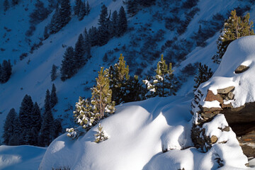 Wall Mural - winter walking in the alps, the hohe tauern national park in austria, at a cold and sunny day