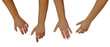 © Sebastian - Top view of different female hands on a transparent background, cut out from the background. Different female hands grabbing something, reaching for something. The concept of placing in own projects.