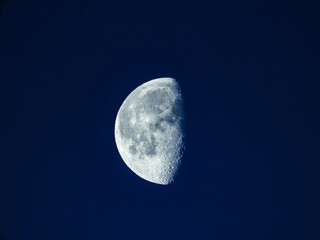 Wall Mural - Waning Gibbous Moon