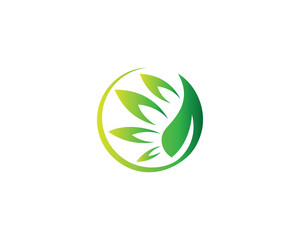 Sticker - Creative Green Leaf Ecology Nature Element Vector Icon Logo Design Template.