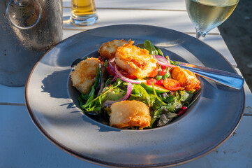 Wall Mural - Healthy vegetarian Mediterranean food, Grilled Halloumi cheese Salad with green lettuce, onion and cucumber