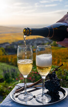 Tasting Of Premier Cru Sparkling White Wine With Bubbles Champagne On Outdoor Terrace With View On Colorful Vineyards In Hautvillers In October, Near Epernay, France