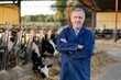 Portrait of confident mature male farmer posing in cowshed at dairy farm on summer day