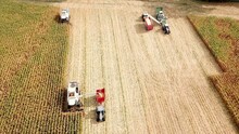 Two Maize Chopper, Forage Harvester, Tractors And More Agricultural Machines Harvesting Maize On A Field, Agriculture From A Bird's Eye View	