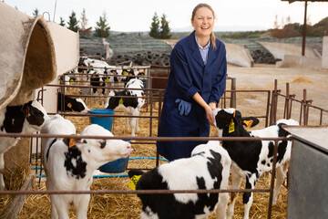 Caring female farmer in uniform giving milk to calves in plastic calf hutch on farm in countryside in autumn