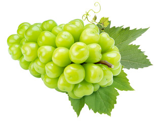 sweet grape with leaves on white, shine muscat grape on white png file.