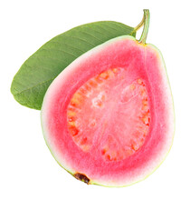 Pink Guava Fruit With Leaf  On White Background, Fresh Pink Guava On White PNG File.