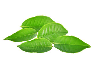 Poster - green tea leaf isolated on transparent png