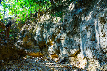 Canvas Print - Soil layer at the nature trail in Mae Wang National Park