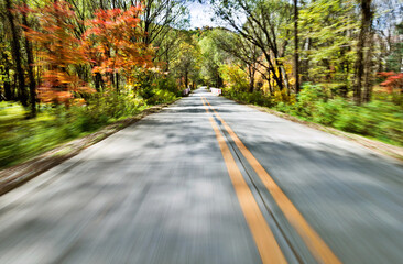 Poster - Empty road in motion blur