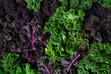 Wall Mural - red and green kale on brown wooden surface