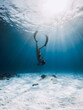 Freediver with fins dive to sea bottom. Freediving in blue ocean with sun rays