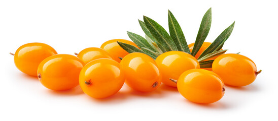 Wall Mural - Buckthorn isolated. Sea buckthorn with leaves on white background. Buckthorn with clipping path. Full depth of field.