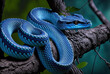 On a viperous blue branch, a blue viper snake Generative AI