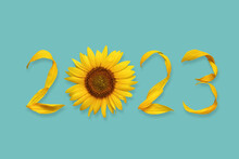 2023 From Yellow Sunflower Flowers And Leaves Isolated On Blue Background. Website Header Banner. New Year. Holiday Calendar Cover Or Promotional Post. 2023 Creative Background, Postcard Design