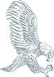 Vintage hand drawn spread wings eagle