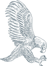 Vintage Hand Drawn Spread Wings Eagle
