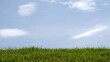 empty green grass foreground with clear blue sky and clouds background