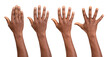 Hands up seen from the back isolated on white or transparent background	
