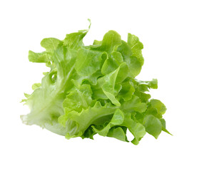 Wall Mural - Lettuce isolated on transparent png