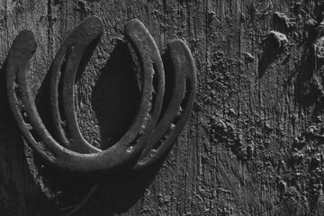 Canvas Print - Old horseshoes on wood texture background for western flat lay in black and white.