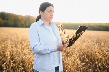 Wall Mural - Caucasian female farm worker inspecting soy at field summer evening time somewhere in Ukraine